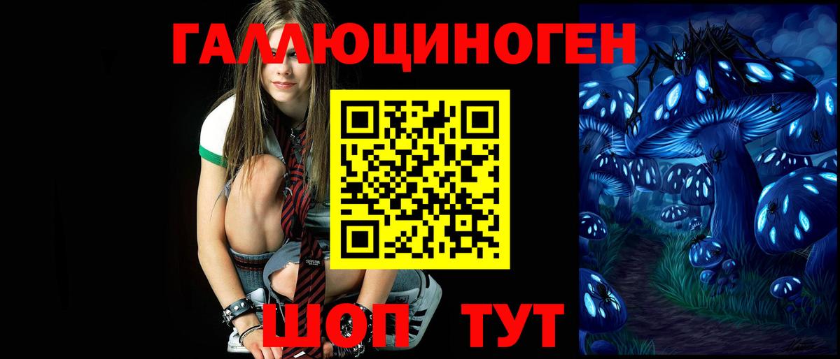 Псилоцибиновые грибы GOLDEN TEACHER  Вход с VPN  магазин  наркотиков  Галлюциногенные грибы MAGIC MUSHROOMS  Щёлково 